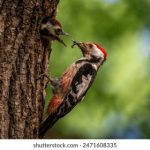 豪婿韩三千完整免费最新 d3suk0