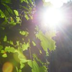 巨乳系列在线观看 i0p8tclt9